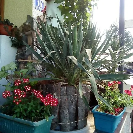 Malgo Konukevi *
